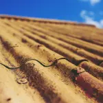 Pericoli per la salute da un'esposizione prolungata all'amianto